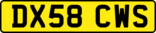 DX58CWS