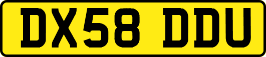 DX58DDU