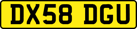 DX58DGU