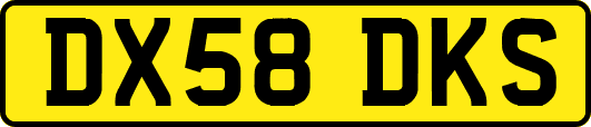 DX58DKS