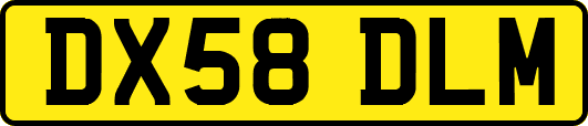 DX58DLM