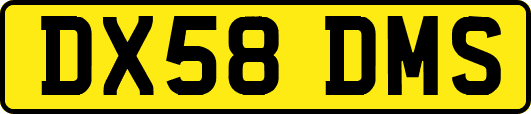 DX58DMS