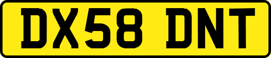 DX58DNT