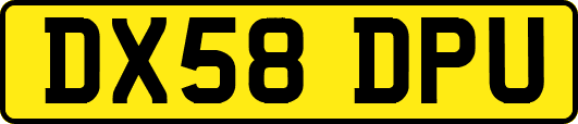 DX58DPU