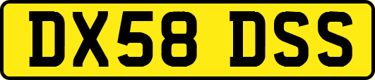 DX58DSS
