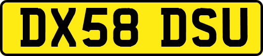 DX58DSU