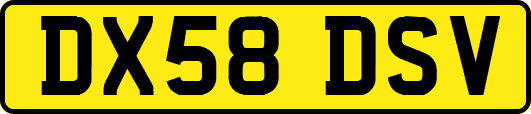DX58DSV