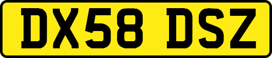 DX58DSZ