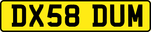 DX58DUM