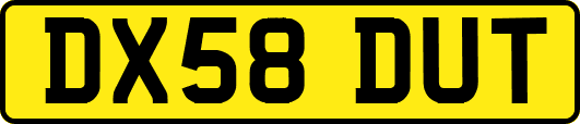DX58DUT