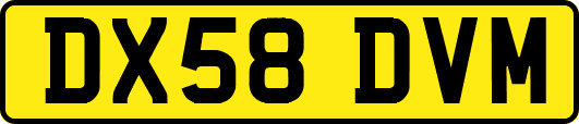 DX58DVM