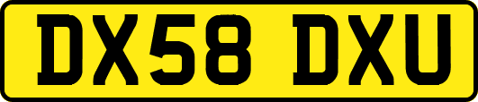 DX58DXU