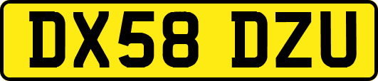 DX58DZU