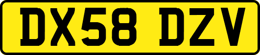 DX58DZV