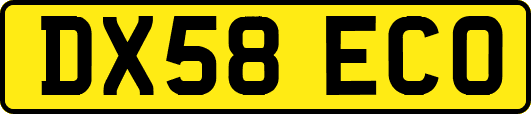 DX58ECO