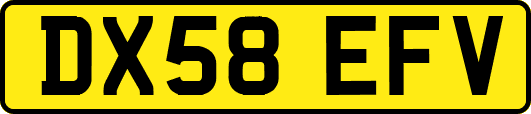 DX58EFV