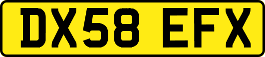 DX58EFX