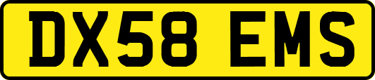 DX58EMS