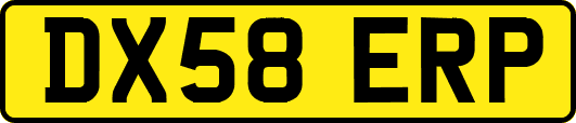 DX58ERP