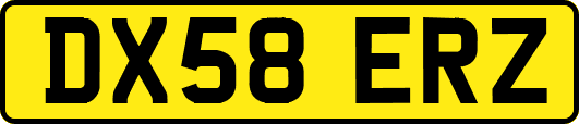 DX58ERZ