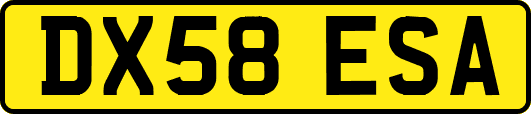 DX58ESA