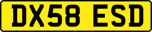 DX58ESD