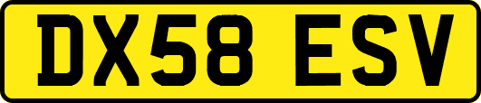 DX58ESV