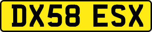 DX58ESX