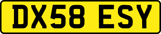 DX58ESY