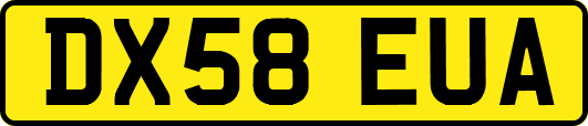DX58EUA
