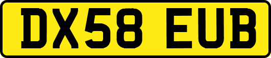 DX58EUB
