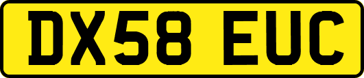 DX58EUC