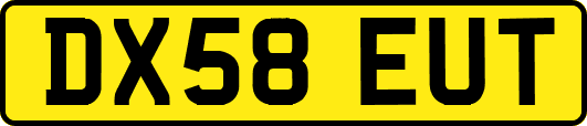 DX58EUT