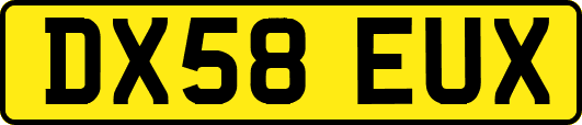 DX58EUX