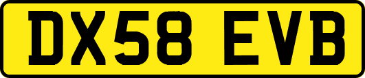 DX58EVB