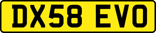 DX58EVO