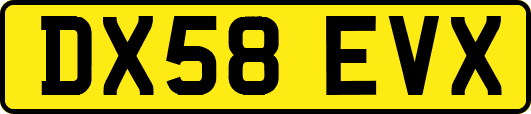 DX58EVX