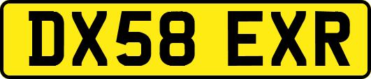 DX58EXR