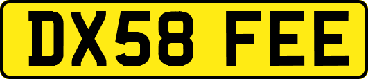 DX58FEE