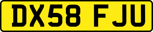 DX58FJU