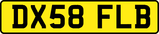 DX58FLB