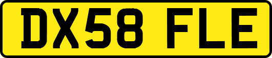 DX58FLE