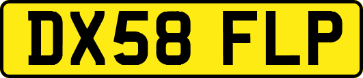 DX58FLP
