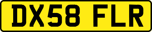 DX58FLR