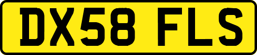 DX58FLS
