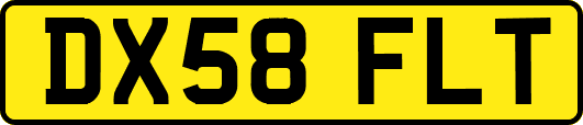 DX58FLT