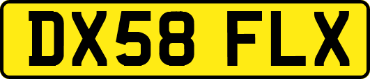 DX58FLX
