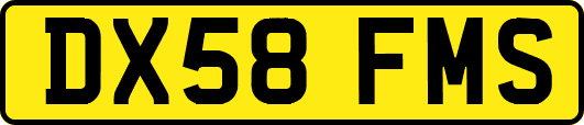 DX58FMS