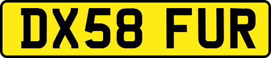DX58FUR