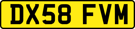DX58FVM